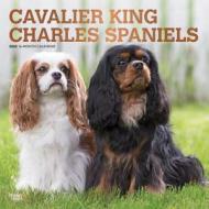 Cavalier King Charles Spaniels 2020 Square Wall Calendar di Inc Browntrout Publishers edito da Brown Trout