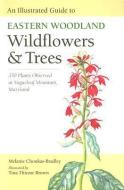 An Illustrated Guide to Eastern Woodland Wildflowers and Trees: 350 Plants Observed at Sugarloaf Mountain, Maryland di Melanie Choukas-Bradley edito da UNIV OF VIRGINIA PR