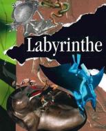 Labyrinthe: Poesie im 21. Jahrhundert di Werner Reichhold edito da LIGHTNING SOURCE INC