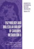 Enzymology and Molecular Biology of Carbonyl Metabolism 6 edito da Springer US