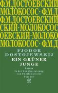 Ein grüner Junge di Fjodor M. Dostojewskij edito da FISCHER Taschenbuch