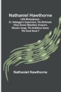 Nathaniel Hawthorne ; Little Masterpieces ; Dr. Heidegger's Experiment, The Birthmark, Ethan Brand, Wakefield, Drowne's Wooden Image, The Ambitious Gu di Nathaniel Hawthorne edito da Alpha Editions