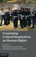 Examining Critical Perspectives on Human Rights di Rob Dickinson edito da Cambridge University Press
