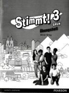 Stimmt! 3 Grun Workbook (pack Of 8) di Oliver Gray edito da Pearson Education Limited