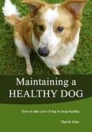 Maintaining a Healthy Dog: How to Take Care of Dog to Keep Healthy di David John edito da Createspace