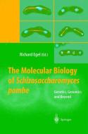 The Molecular Biology of Schizosaccharomyces pombe di Richard Egel edito da Springer Berlin Heidelberg