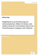 Möglichkeiten der Bearbeitung der südostasiatischen Märkte für kleine und mittlere deutsche Unternehmen durch eine Niede di Michael Hug edito da Diplom.de