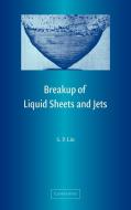 Breakup of Liquid Sheets and Jets di S. P. Lin edito da Cambridge University Press