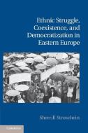 Ethnic Struggle, Coexistence, and Democratization in Eastern Europe di Sherrill Stroschein edito da Cambridge University Press