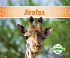 SPA-JIRAFAS (GIRAFFES) di Grace Hansen edito da ABDO KIDS