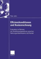 Effizienzkonditionen und Kostenrechnung di Peer John edito da Deutscher Universitätsverlag