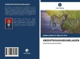 KREDITRISIKOGRUNDLAGEN di John Chibaya Mbuya edito da Verlag Unser Wissen