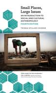 Small Places, Large Issues - Fourth Edition di Thomas Hylland Eriksen edito da Pluto Press
