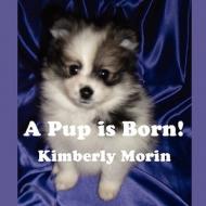 A Pup Is Born di Kimberly Morin edito da America Star Books