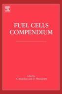 Fuel Cells Compendium edito da ELSEVIER SCIENCE & TECHNOLOGY