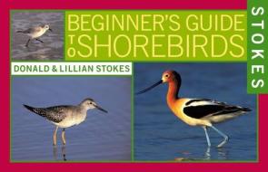 Stokes Beginner's Guide to Shorebirds di Donald Stokes, Lillian Stokes edito da LITTLE BROWN & CO