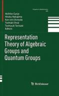 Representation Theory of Algebraic Groups and Quantum Groups edito da Springer Basel AG