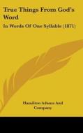True Things from God's Word: In Words of One Syllable (1871) di Hamilton Adams & Co, Hamilton Adams and Company edito da Kessinger Publishing