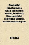 Macrouridae: Coryphaenoides, Rattail, Ca di Books Llc edito da Books LLC