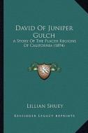 David of Juniper Gulch: A Story of the Placer Regions of California (1894) a Story of the Placer Regions of California (1894) di Lillian Shuey edito da Kessinger Publishing
