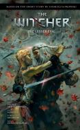 Andrzej Sapkowski's the Witcher: The Lesser Evil di Jacek Rembis edito da DARK HORSE COMICS