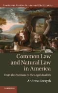 Common Law and Natural Law in America di Andrew Forsyth edito da Cambridge University Press