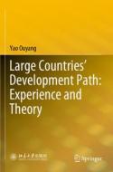 Large Countries' Development Path: Experience and Theory di Yao Ouyang edito da SPRINGER NATURE
