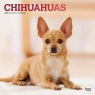 Chihuahuas 2020 Square Wall Calendar di Inc Browntrout Publishers edito da Brown Trout