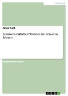 Lernwerkstattarbeit di Aline Kurt edito da Grin Publishing