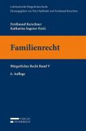Familienrecht di Ferdinand Kerschner, Katharina Sagerer-Foric edito da Verlag Österreich GmbH