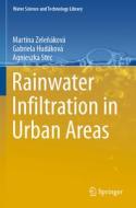 Rainwater Infiltration in Urban Areas di Martina Zelenáková, Agnieszka Stec, Gabriela Hudáková edito da Springer International Publishing