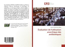 Évaluation de l'utilisation anarchique des antibiotiques di Vincent de Paul Kome Elong edito da Editions universitaires europeennes EUE