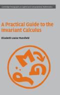 A Practical Guide to the Invariant Calculus di Elizabeth Louise (University of Kent Mansfield edito da Cambridge University Press