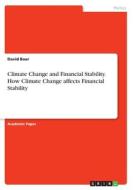 Climate Change and Financial Stability. How Climate Change affects Financial Stability di David Baur edito da GRIN Verlag