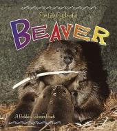 The Life Cycle of a Beaver di Bobbie Kalman edito da Crabtree Publishing Co,Canada