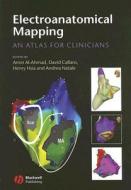Electroanatomical Mapping edito da John Wiley And Sons Ltd