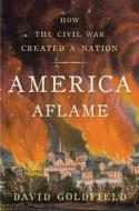 America Aflame di David Goldfield edito da Bloomsbury Publishing Plc