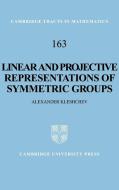 Linear and Projective Representations of Symmetric Groups di Alexander Kleshchev, A. S. Kleshchev, Kleshchev Alexander edito da Cambridge University Press