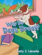 Why Do Dogs Drool? di Sally J. Labadie edito da ARCHWAY PUB
