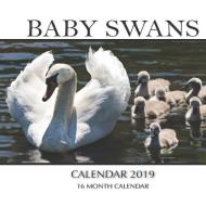 Baby Swans Calendar 2019: 16 Month Calendar di Mason Landon edito da PENGUIN RANDOM HOUSE SOUTH AFR