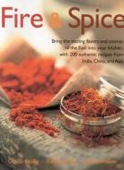 Fire & Spice di Deh-ta Hsiung, Rafi Fernandez, Steven Wheeler edito da Anness Publishing
