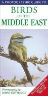 A Photographic Guide To Birds Of The Middle East edito da Bloomsbury Publishing Plc