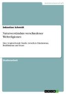 Naturverständnis verschiedener Weltreligionen di Sebastian Schmidt edito da GRIN Verlag