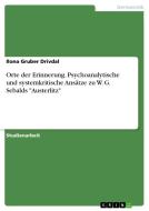 Orte der Erinnerung. Psychoanalytische und systemkritische Ansätze zu W. G. Sebalds "Austerlitz" di Ilona Gruber Drivdal edito da GRIN Verlag