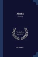 Amalia; Volume 2 di JOS M RMOL edito da Lightning Source Uk Ltd
