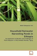 Household Rainwater Harvesting Ponds in Ethiopia di Melete Gebregiorgis Tekle edito da VDM Verlag
