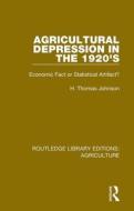 Agricultural Depression In The 1920's di Thomas H. Johnson edito da Taylor & Francis Ltd