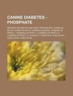 Canine Diabetes - Phosphate: Betasint Bo di Source Wikia edito da Books LLC, Wiki Series