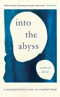 Into the Abyss: A Neuropsychiatrist's Notes on Madness di Anthony David edito da ONEWORLD PUBN