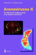 Arenaviruses II: The Molecular Pathogenesis of Arenavirus Infections di M. B. a. Oldstone, M. B. a. Olstone edito da Springer